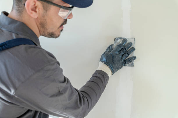 Best Crawl Space Mold Remediation  in Brilliant, OH