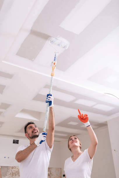 Professional Mold Removal in Brilliant, OH