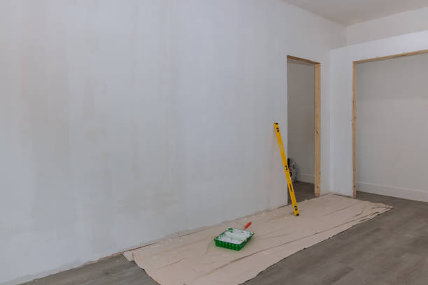 Best Mold Prevention Services  in Brilliant, OH