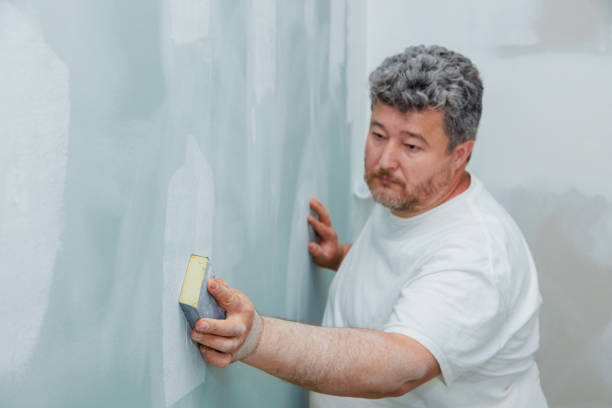 Best Mold Damage Restoration  in Brilliant, OH