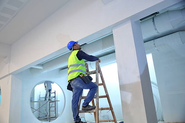 Best Mold Odor Removal Services  in Brilliant, OH